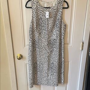 J. Crew Black and Cream Polka Dot Dress
